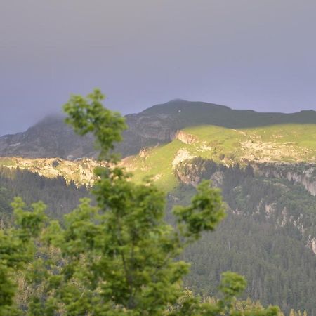 Apartmán Domaine Du Grand Tetras Samoëns Exteriér fotografie