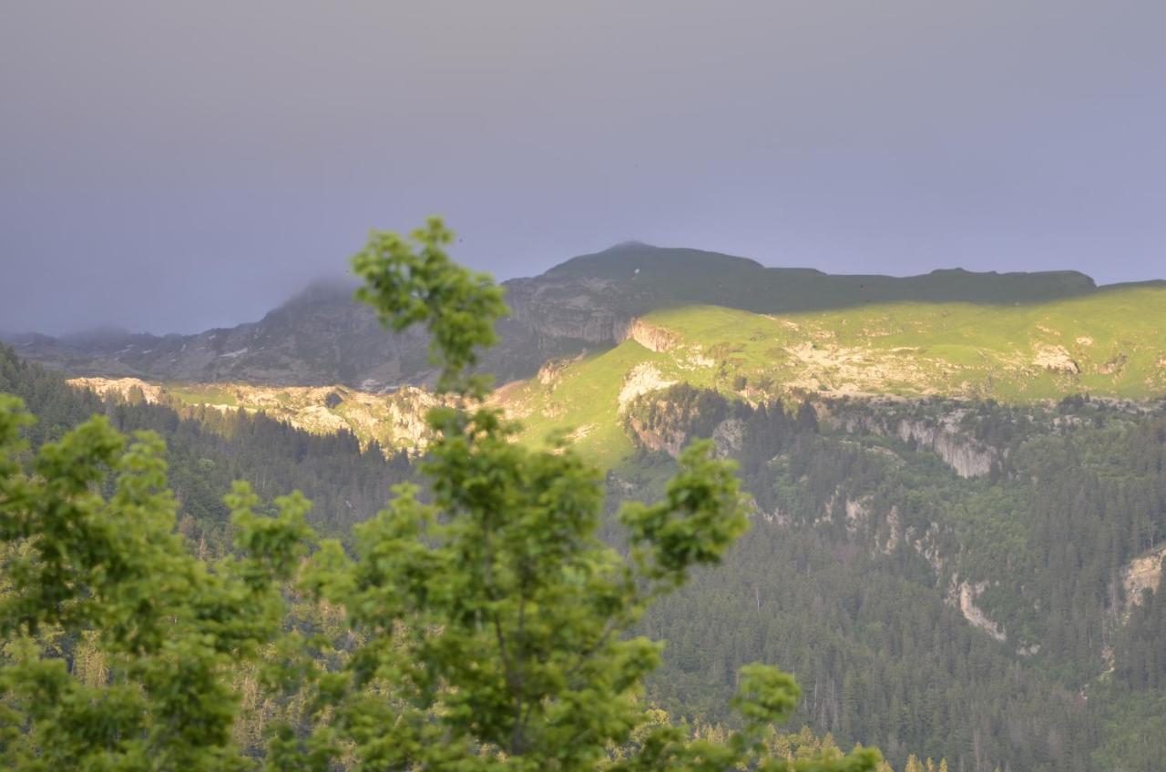 Apartmán Domaine Du Grand Tetras Samoëns Exteriér fotografie